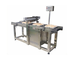 整托雞蛋噴碼輸送帶